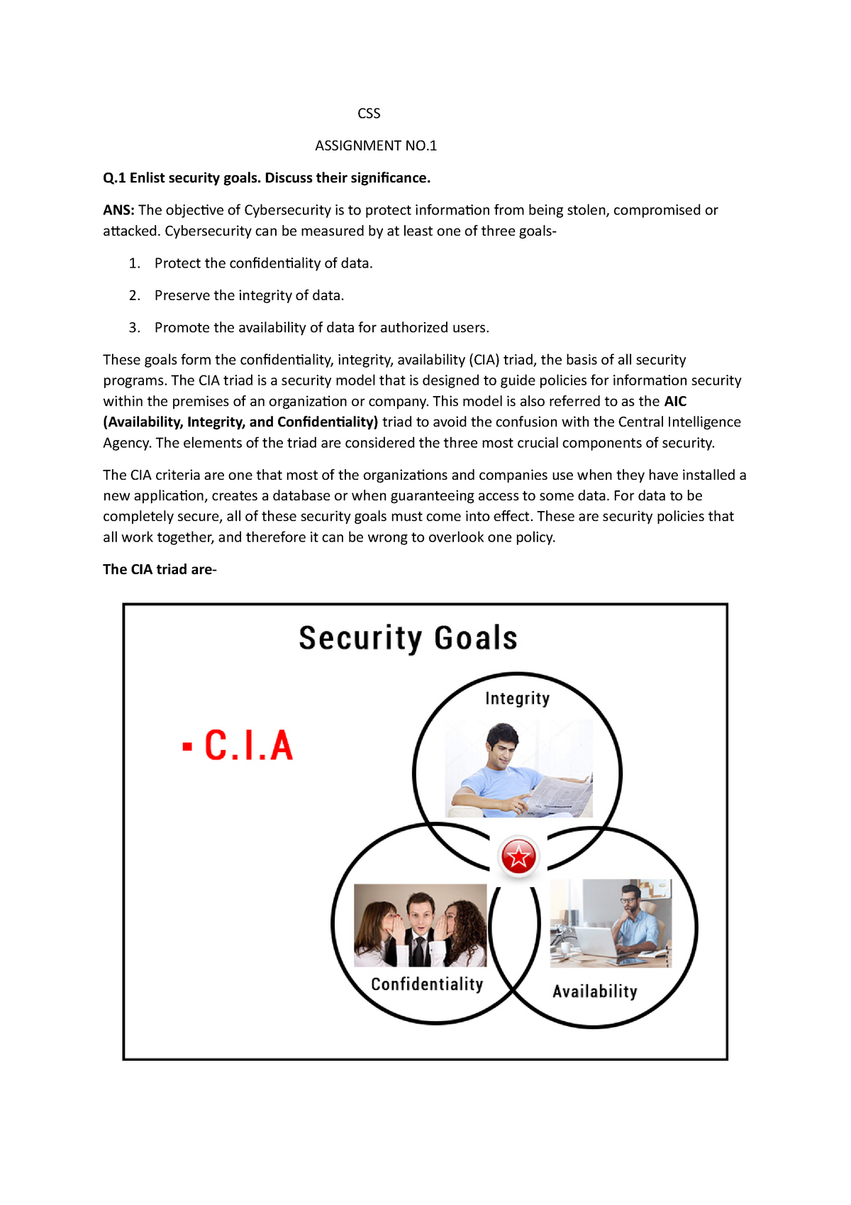 security assignments.com