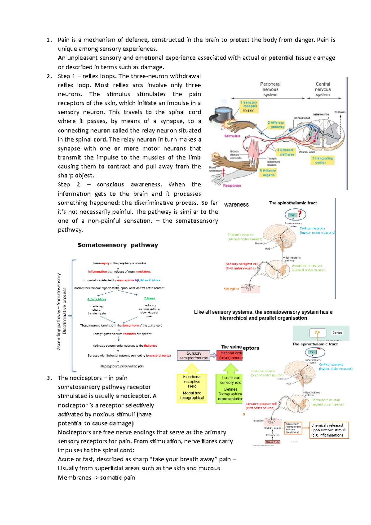 Topic 4 Pain revision - Lecture notes 4 - Pain is a mechanism of ...