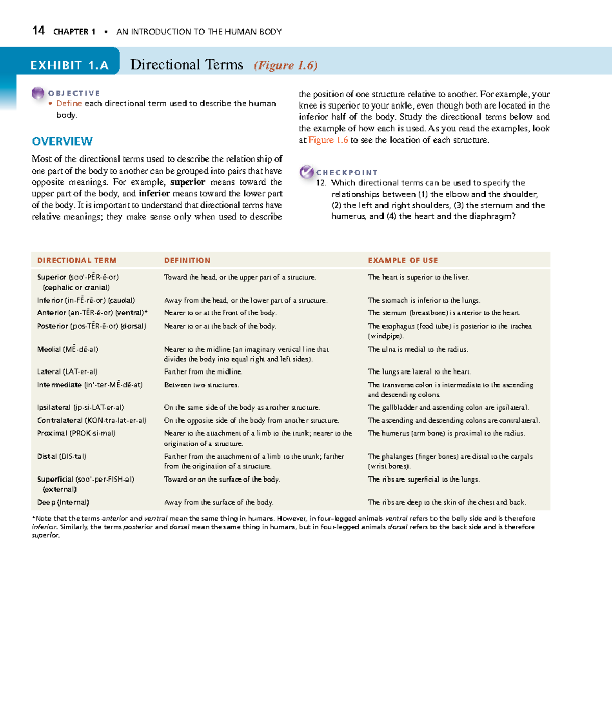 Anatomyand Physiology 16 14 Chapter 1 An Introduction To The Human Anatomyand Physiology 16 14 Chapter 1 An Introduction To The Human