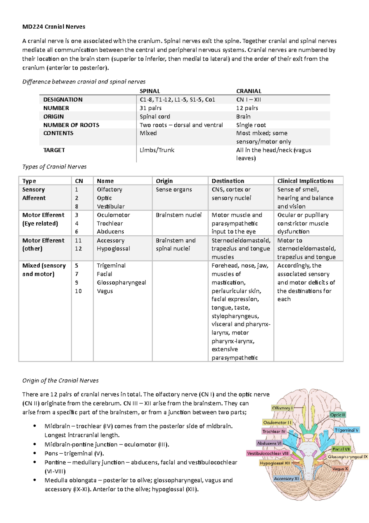 MD224 Cranial Nerves - Neuroanatomy - MD224 Cranial Nerves A cranial ...