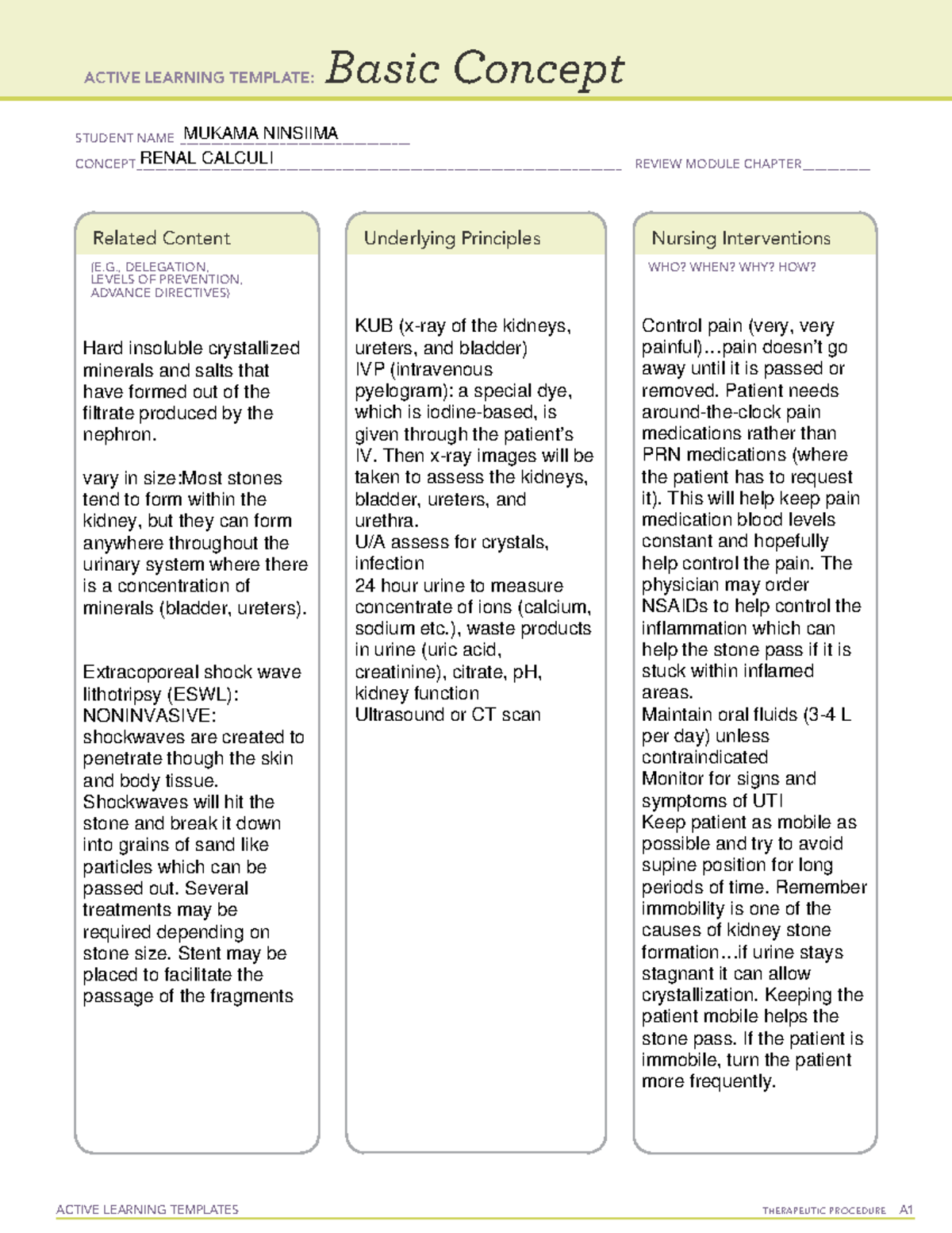 Ati Active Learning Template Basic Concept Management Of Care