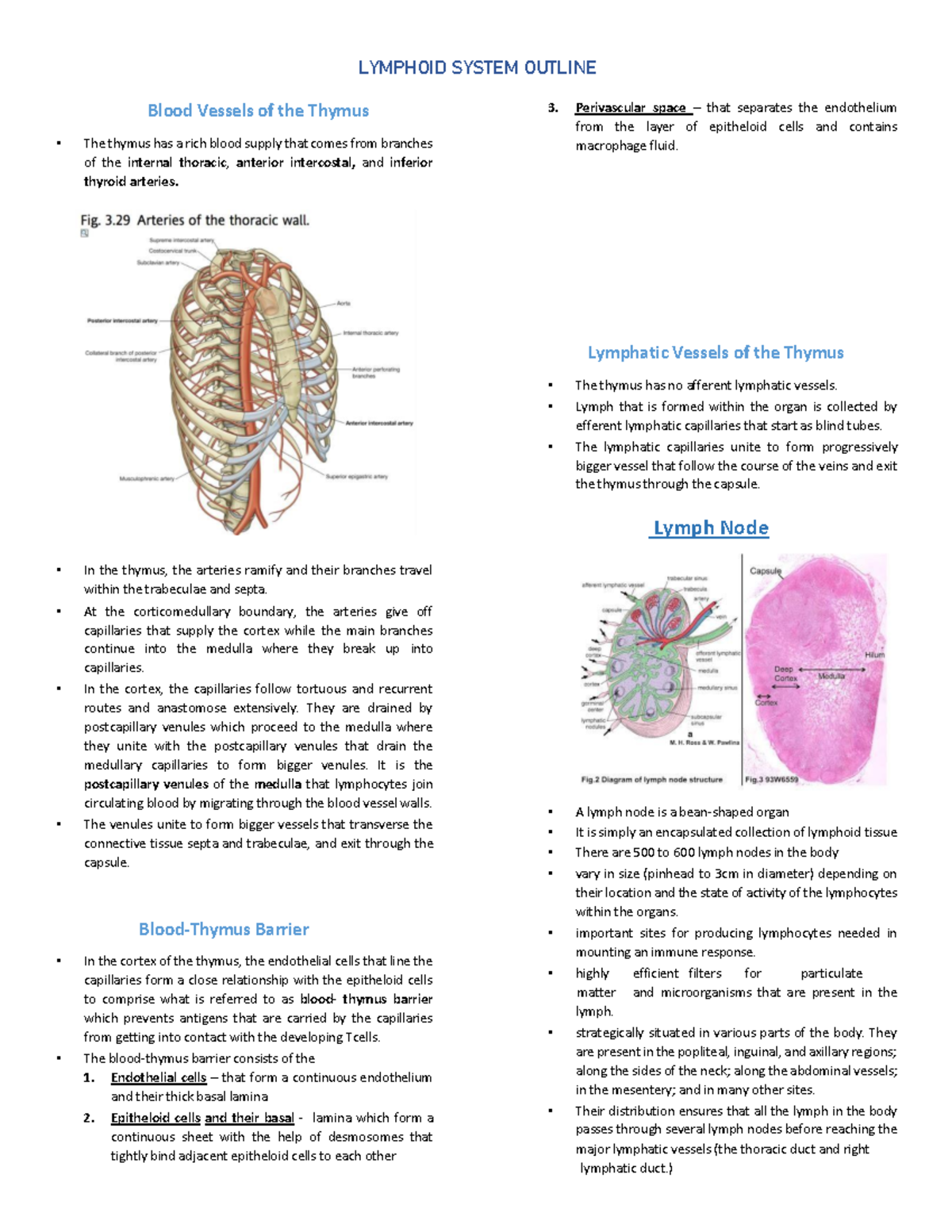 Lymphoid-system-outline part 2 - Blood Vessels of the Thymus The thymus ...