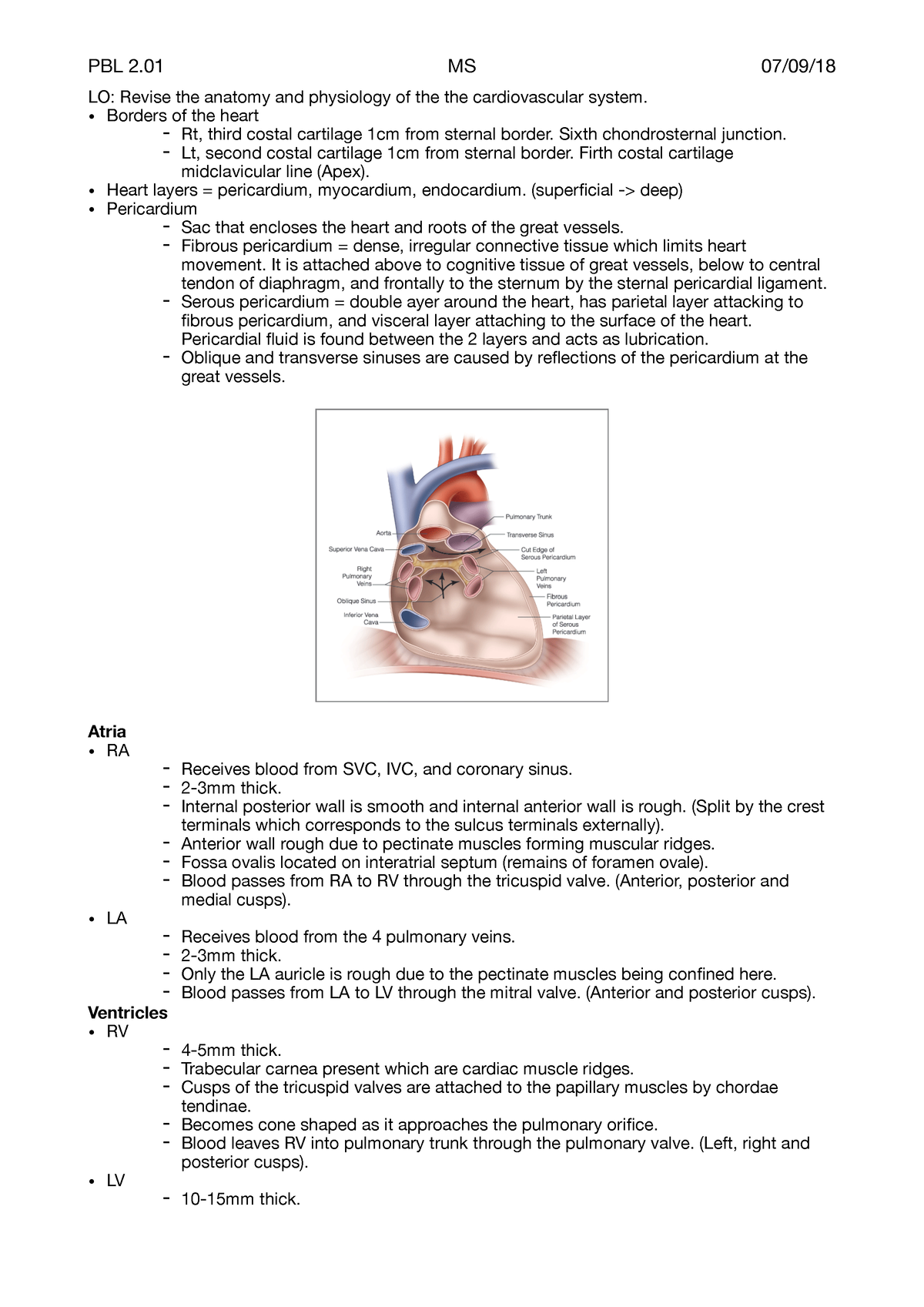 2.01 - Physiology Of The CVS - LO: Revise The Anatomy And Physiology Of ...