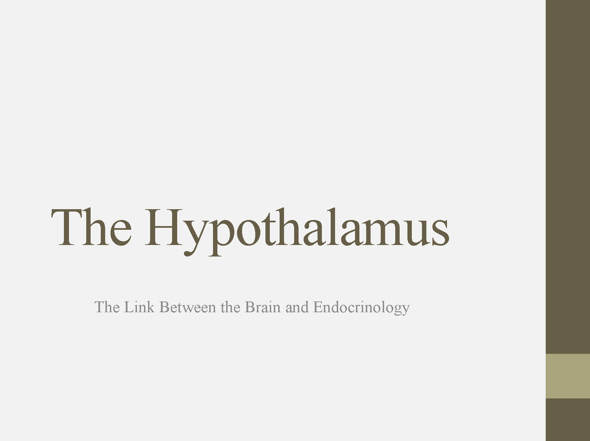 BE+2+The+Hypothalamus - The Hypothalamus The Link Between the Brain and ...