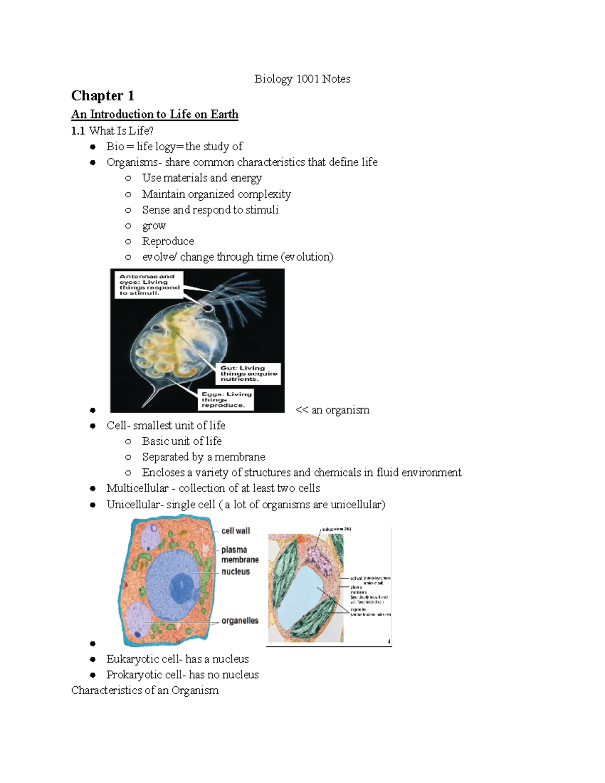 Biology 1001 Chapter 1 Notes - Biology 1001 Notes Chapter 1 An ...