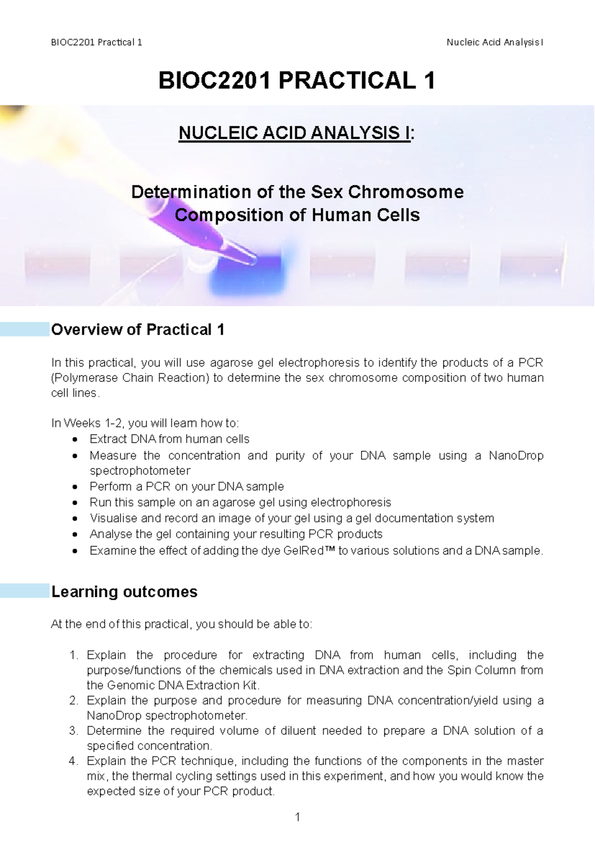 Practical notes 2024 - BIOC2201 Practical 1 Nucleic Acid Analysis I ...