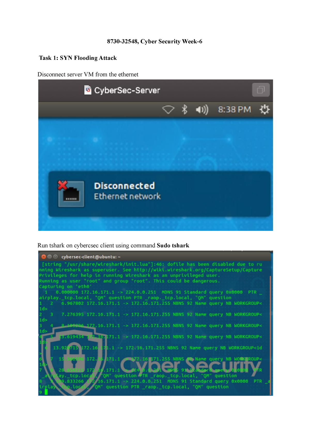 Week 6 Cybersec Lab 6 - 8730-32548, Cyber Security Week- Task 1: SYN ...