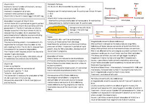 Haematology Revision - Describe In Detail How The Formation And ...