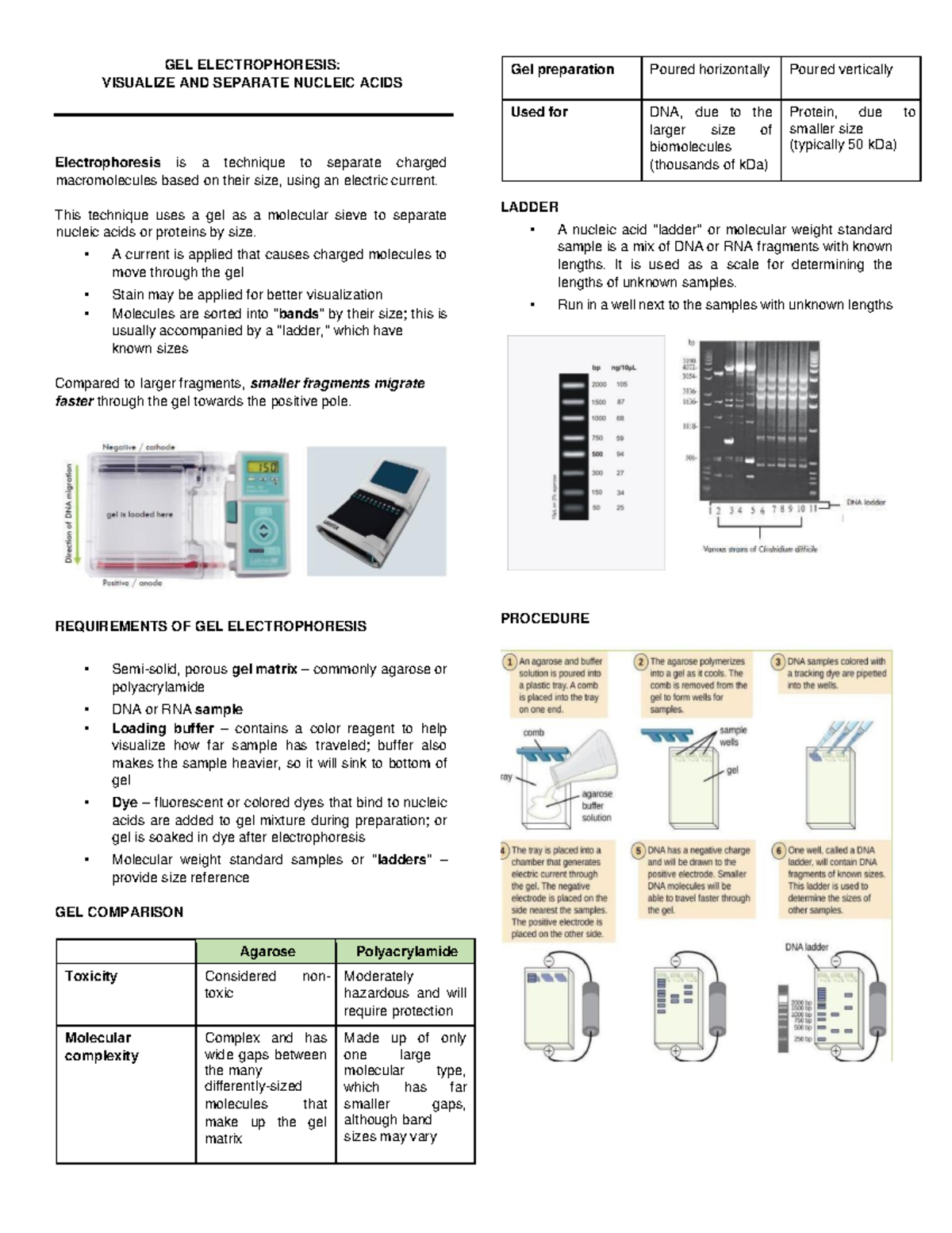 GEL ELECTROPHORESIS VISUALIZE AND SEPARATE NUCLEIC ACIDS GEL