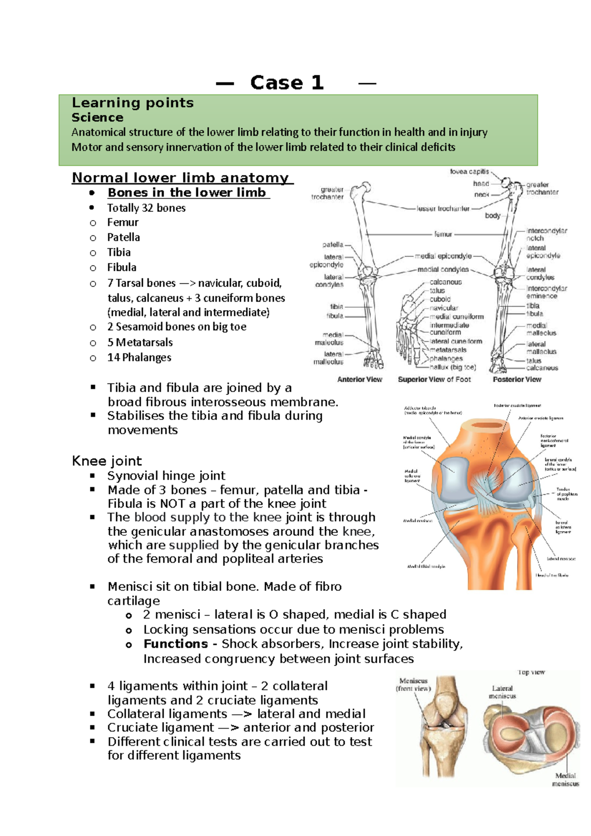 Lower limb anatomy copy - — Case 1 — Learning points Science Anatomical ...