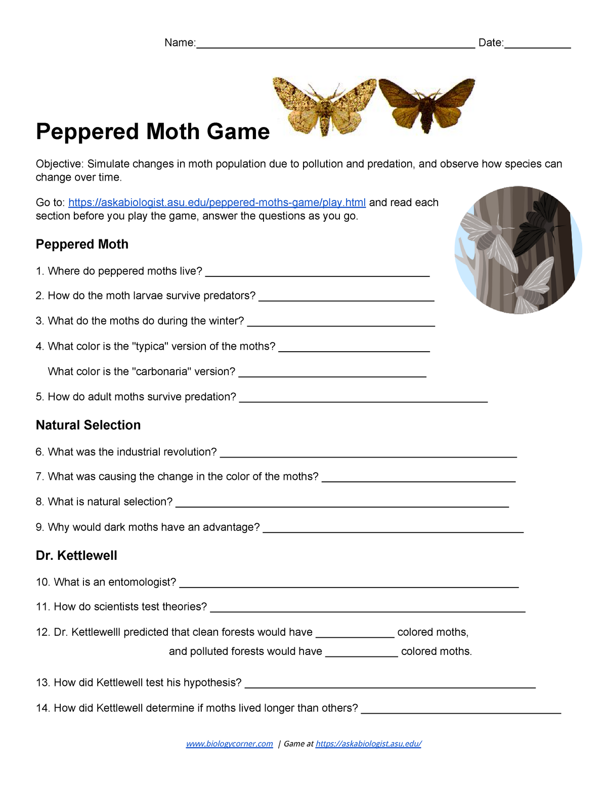 Peppered Moth Game Worksheet Answers
