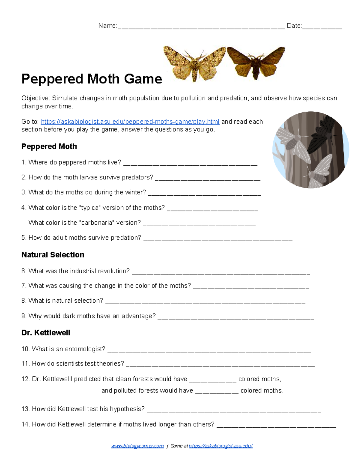 Peppered Moth Game Lecture Notes 1 3 Name