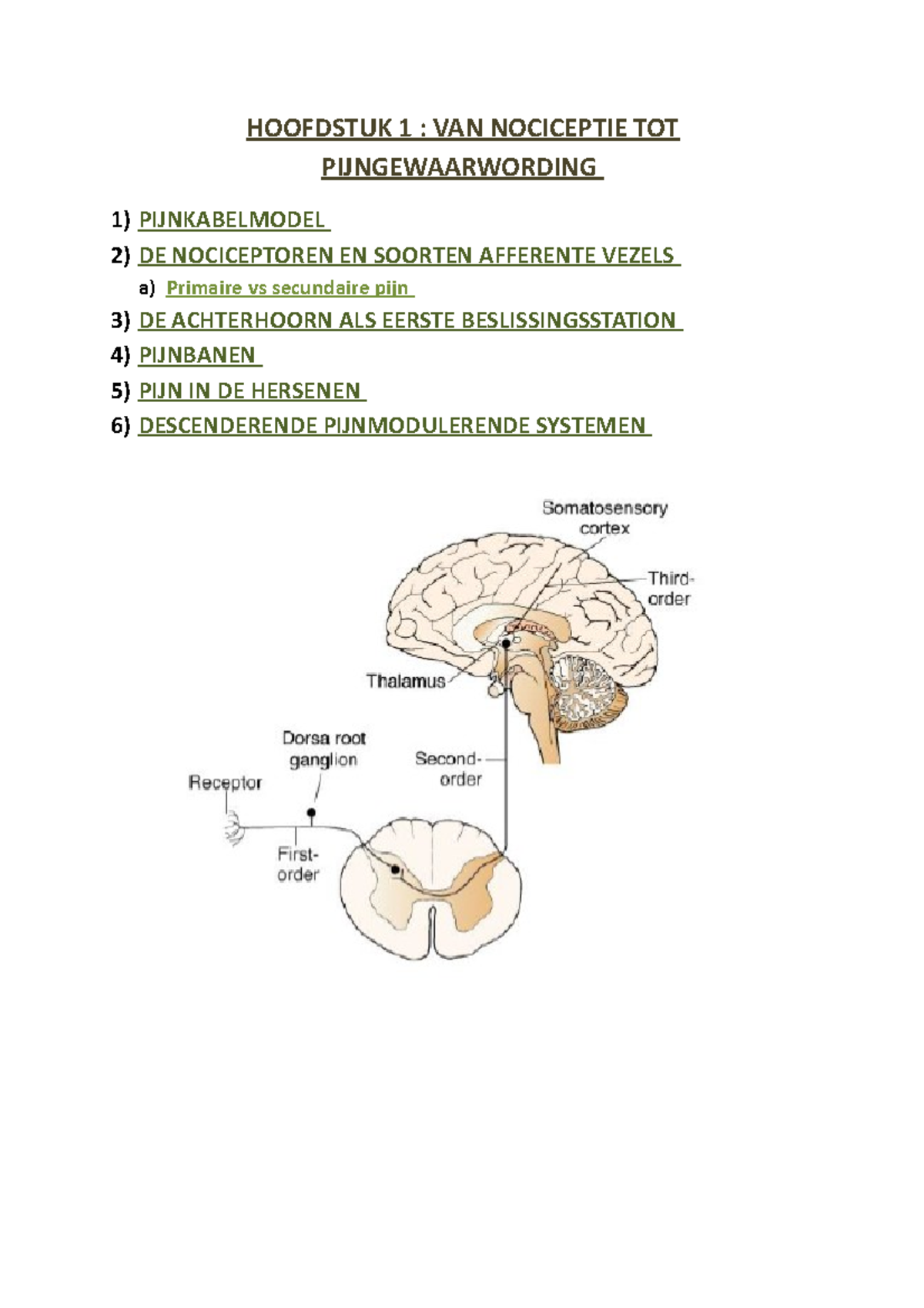 Hoofdstuk 1 VAN Nociceptie TOT Gewaarwording - HOOFDSTUK 1 : VAN ...