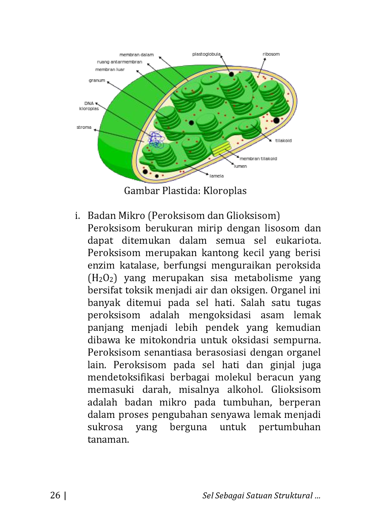 Buku Biologi Dasar Terintegrasi 9 26 Sel Sebagai Satuan Struktural