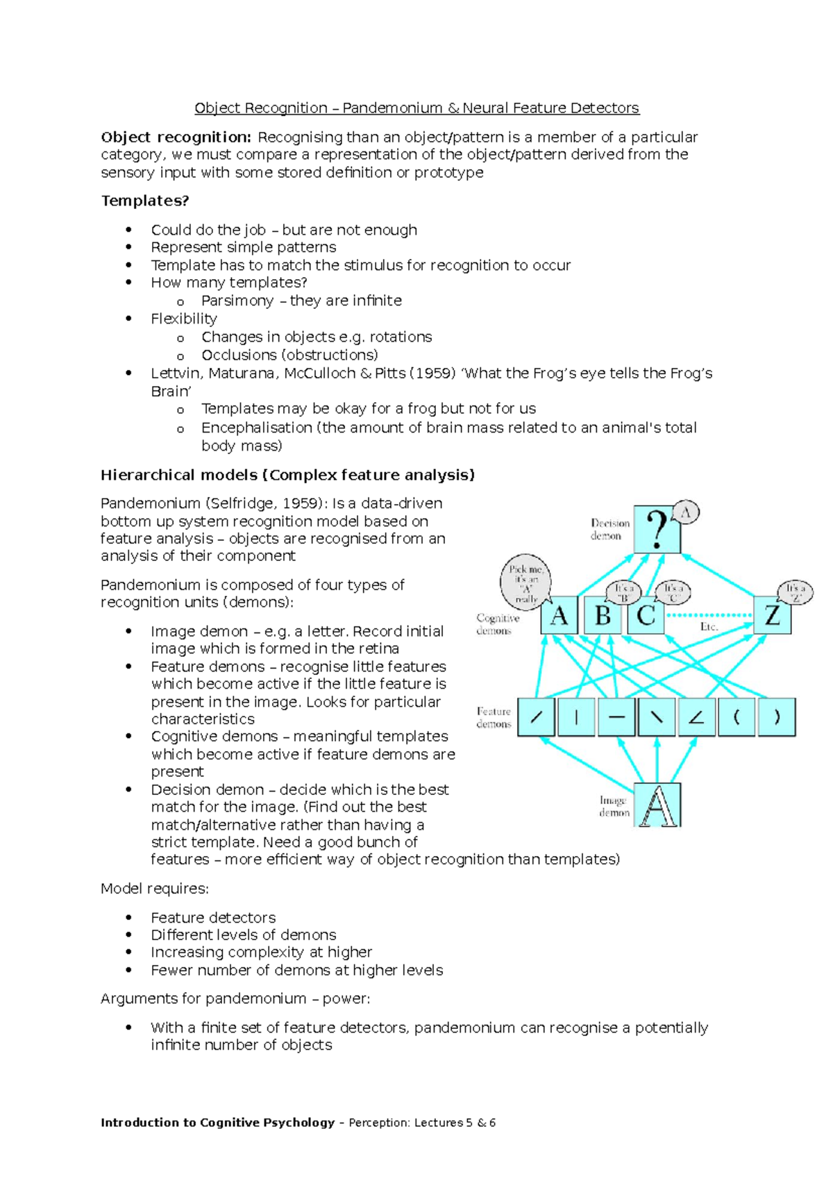 Feature Detectors Psychology Definition