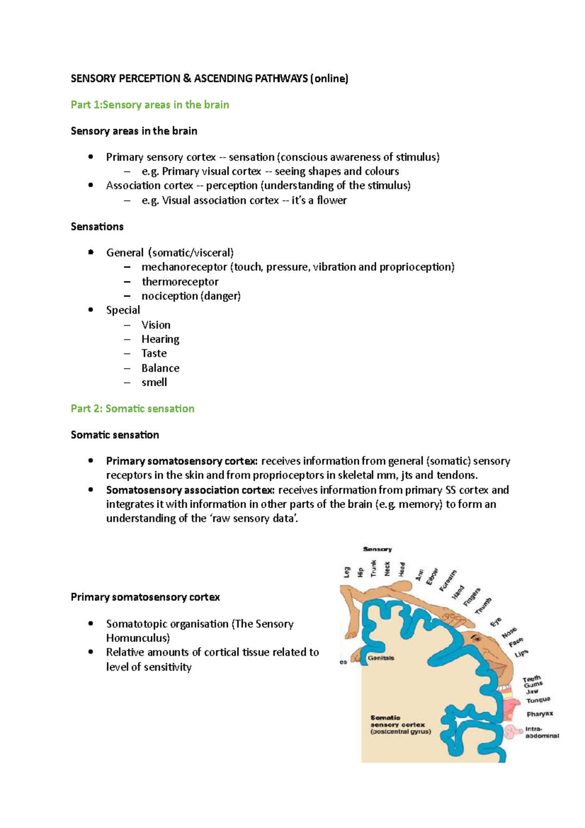 Sensory Perception - Clinical Anatomy And Neurosciences HBS2CAN ...