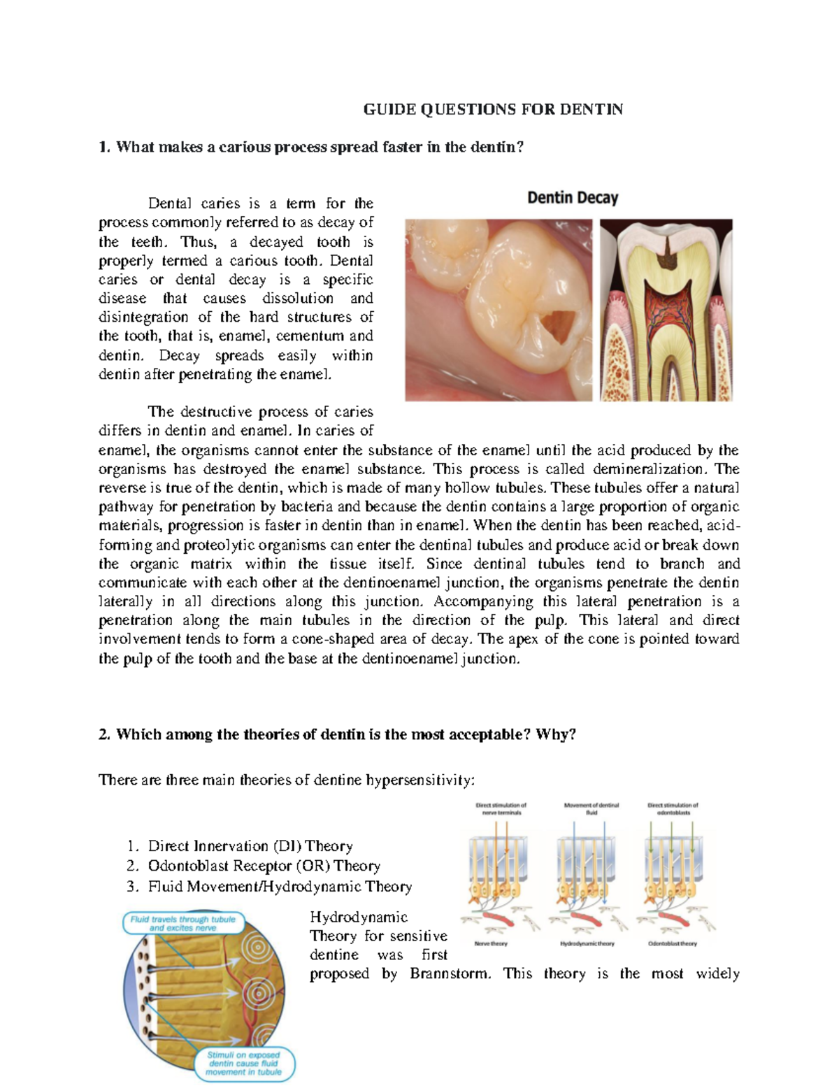 ORAL HISTOLOGY GUIDE QUESTIONS GUIDE QUESTIONS FOR DENTIN 1. What