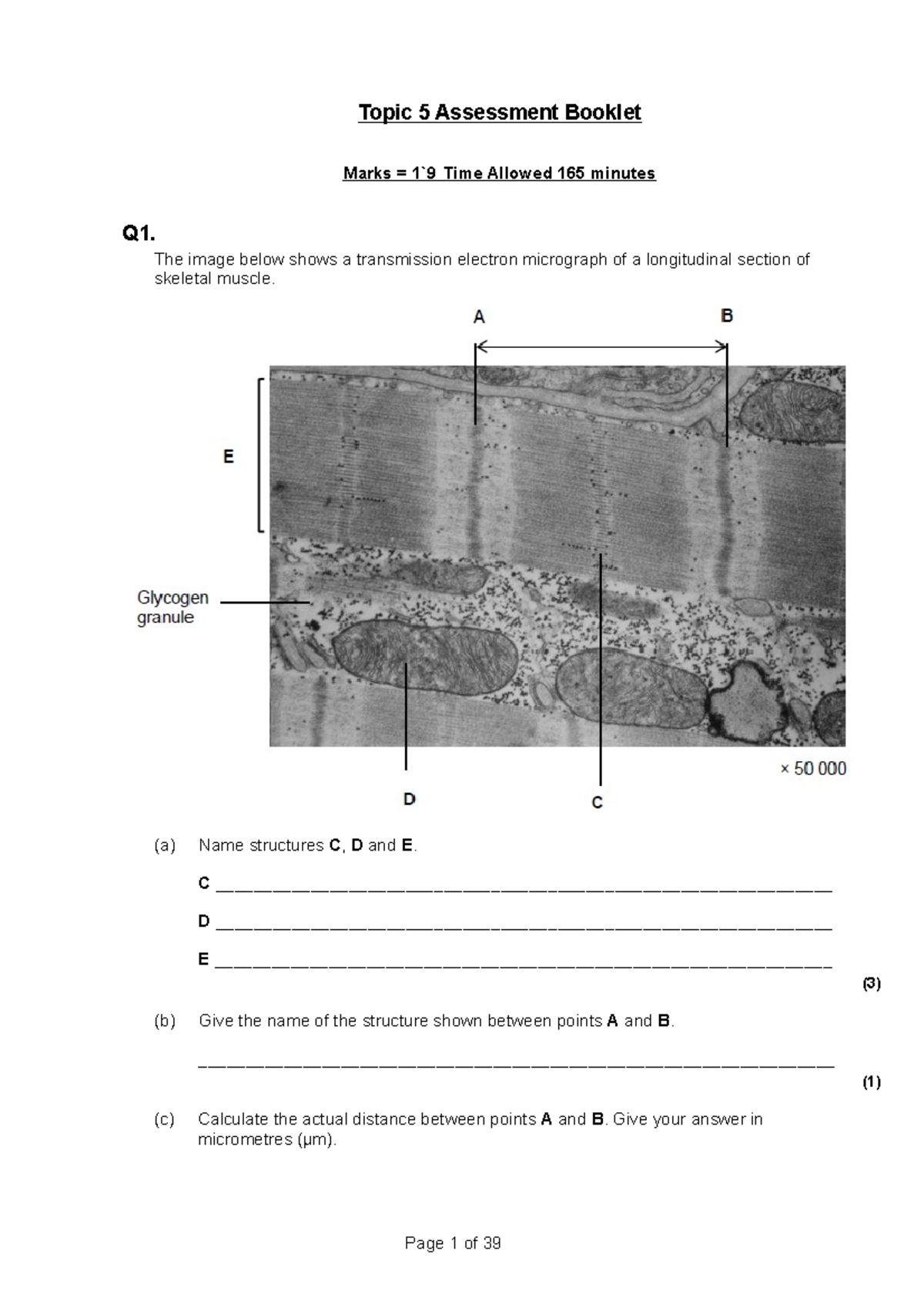 Topic 5 Assessment Booklet - Studocu