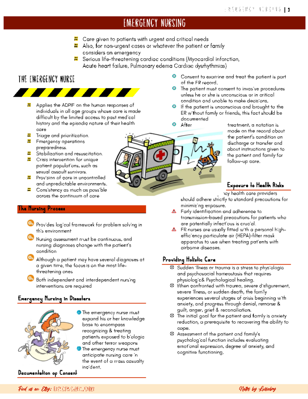 The-Emergency-Nurse What To And What Is - The N Ur Sing Process ...