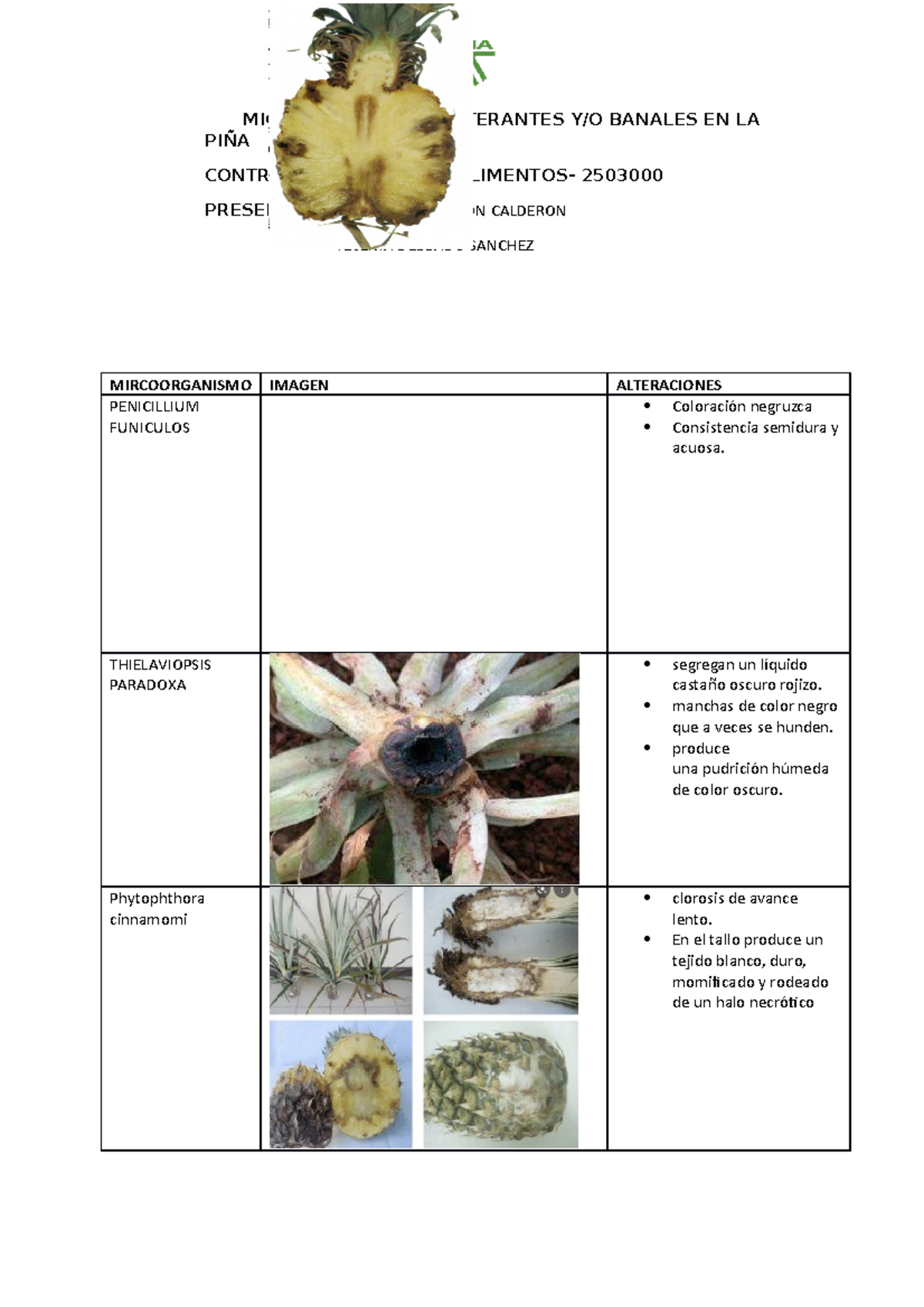 Mircoorganismos-PIÑA - MICROORGANISMOS ALTERANTES Y/O BANALES EN LA ...