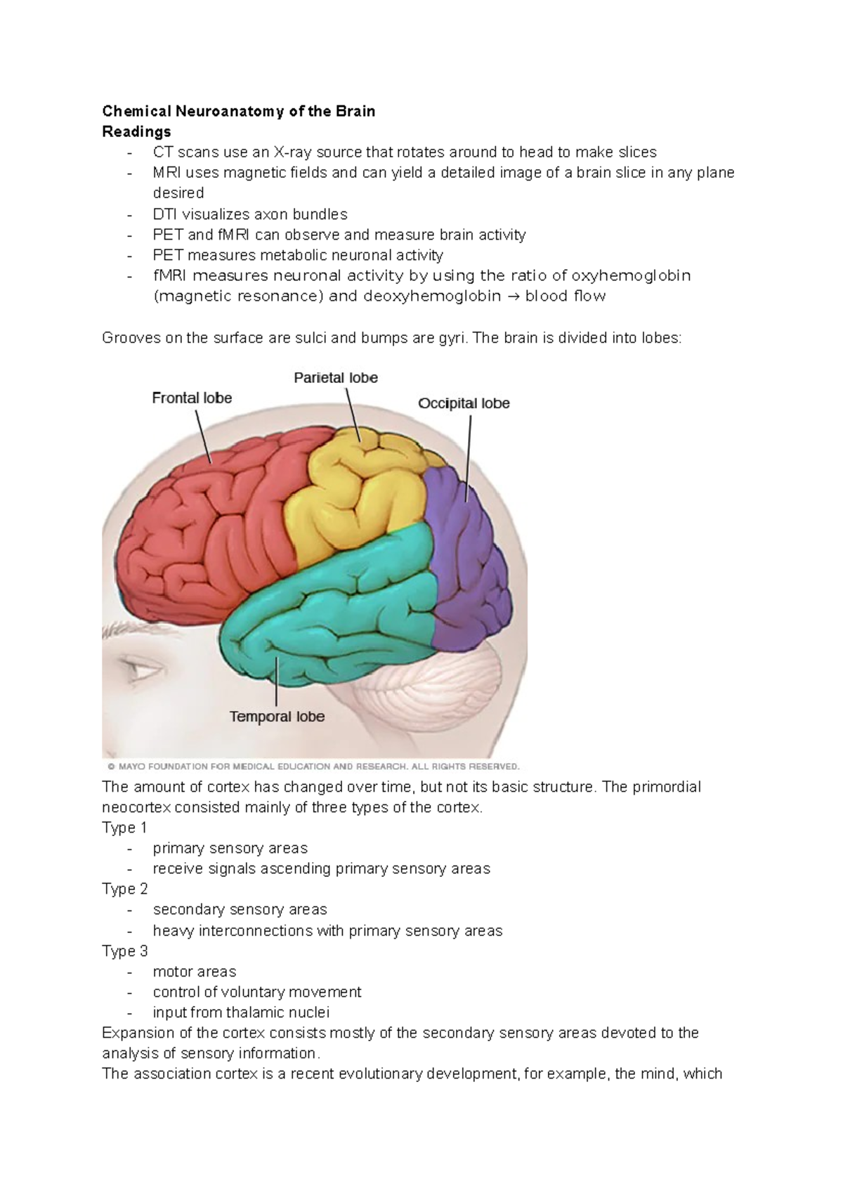 1. Chemical Neuroanatomy Of The Brain - Chemical Neuroanatomy Of The ...