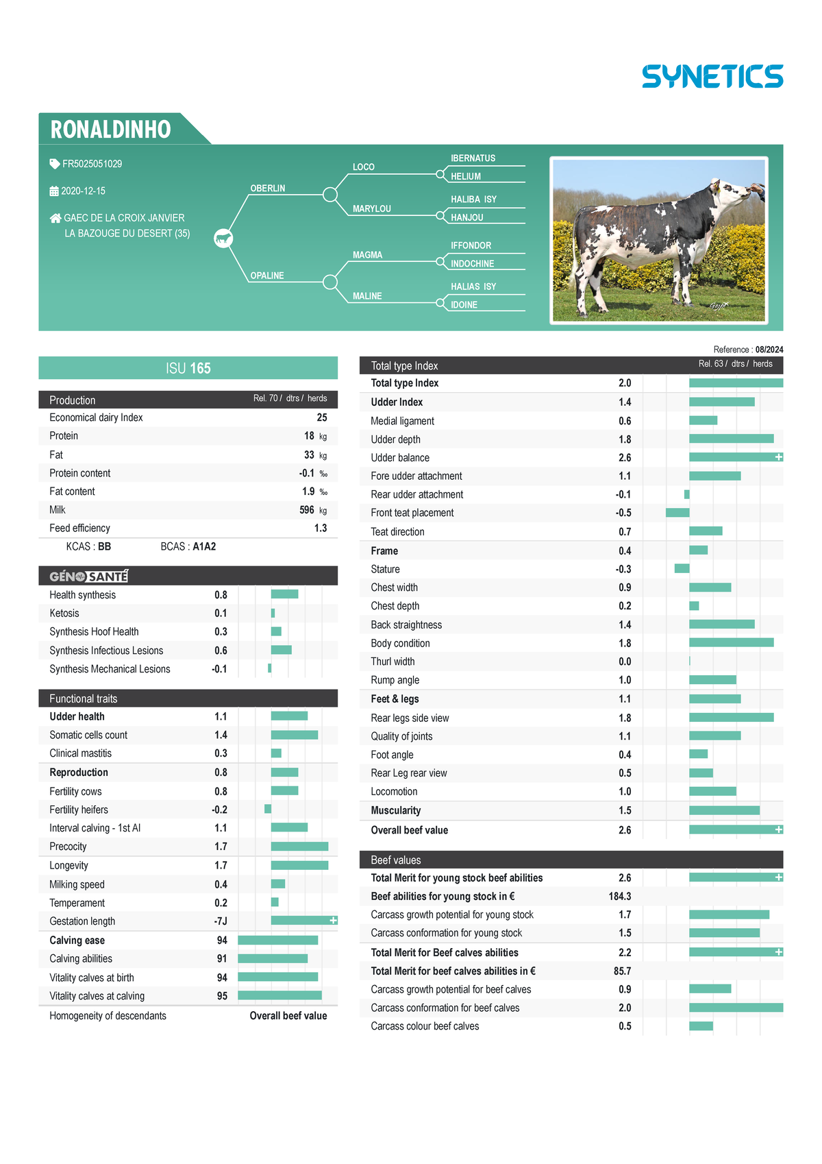 Bull evolution international 2024-08-30 04-50-35 - / Reference : 08 ...