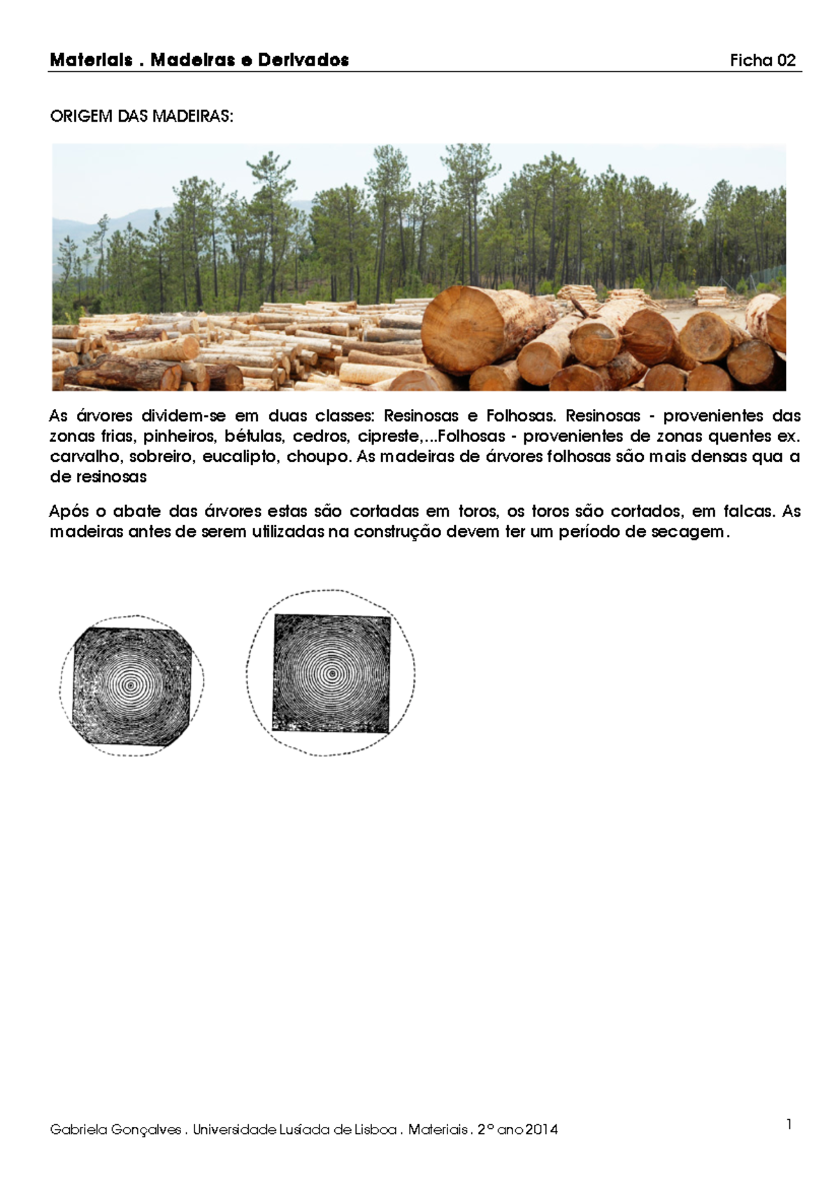 AS Madeiras - ORIGEM DAS MADEIRAS: As árvores dividem-se em duas ...