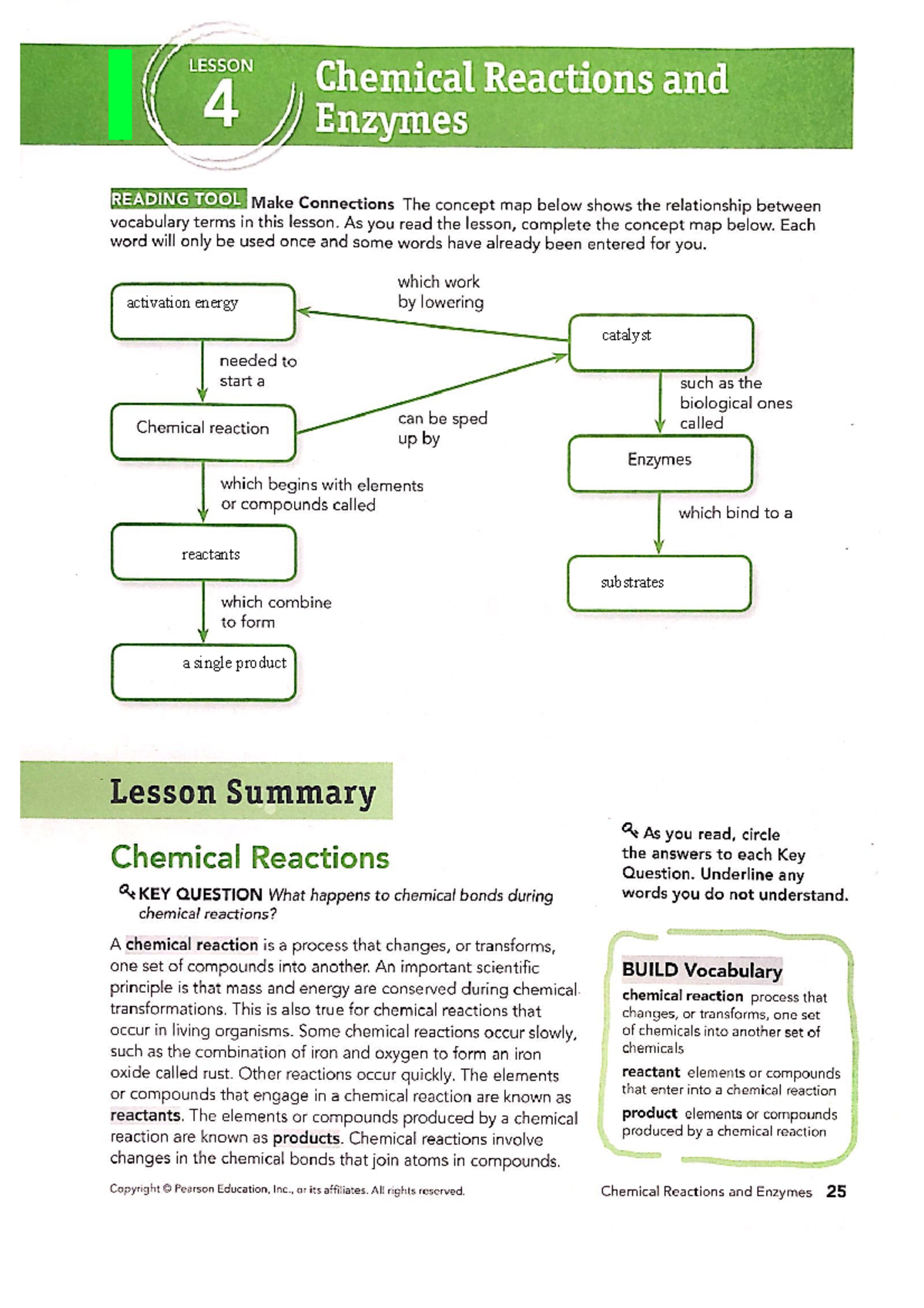 enzyme-reactions-worksheet-answer-key