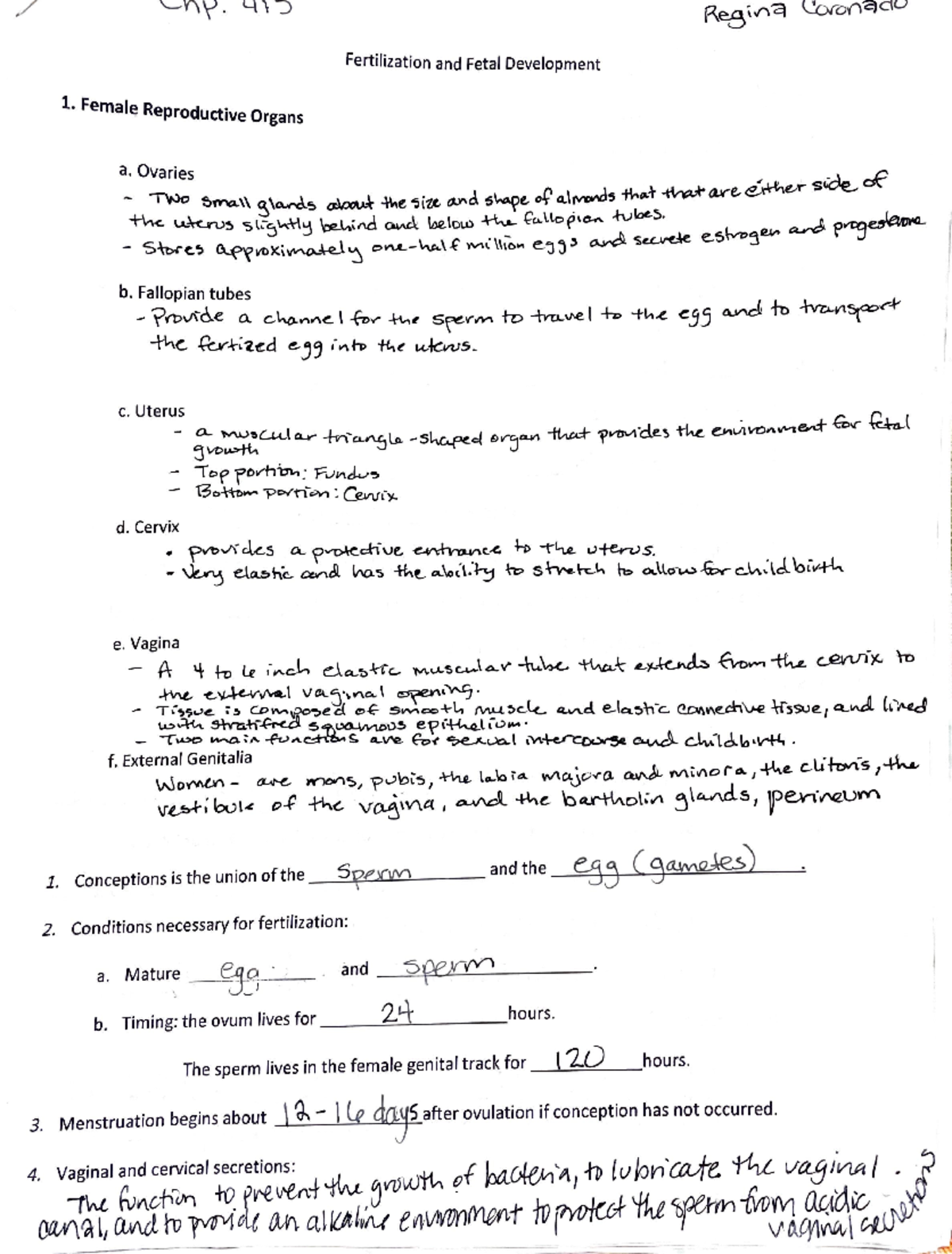 Fertilization Study Guide - Fertilization and Fetal Development Female ...