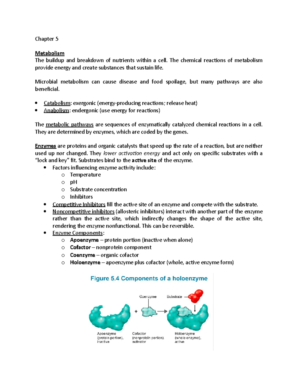 BIO305 CH5 notes - Chapter 5 Metabolism The buildup and breakdown of ...