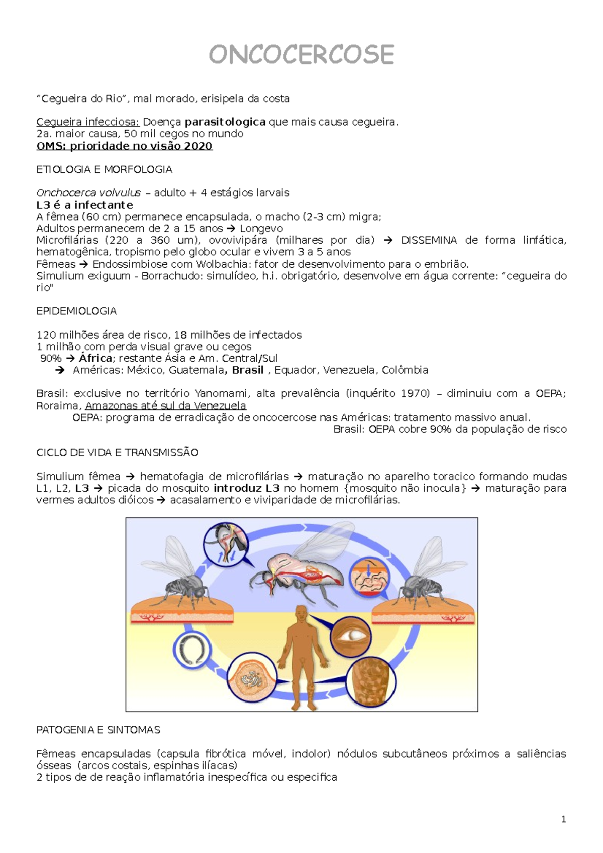 7 - Oncocercose - Completo e bem detalhado - ONCOCERCOSE “Cegueira do ...