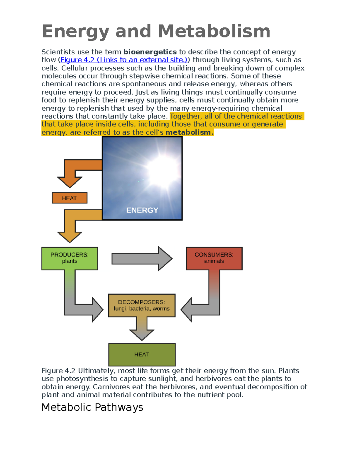 Energy And Metabolism - Energy And Metabolism Scientists Use The Term ...