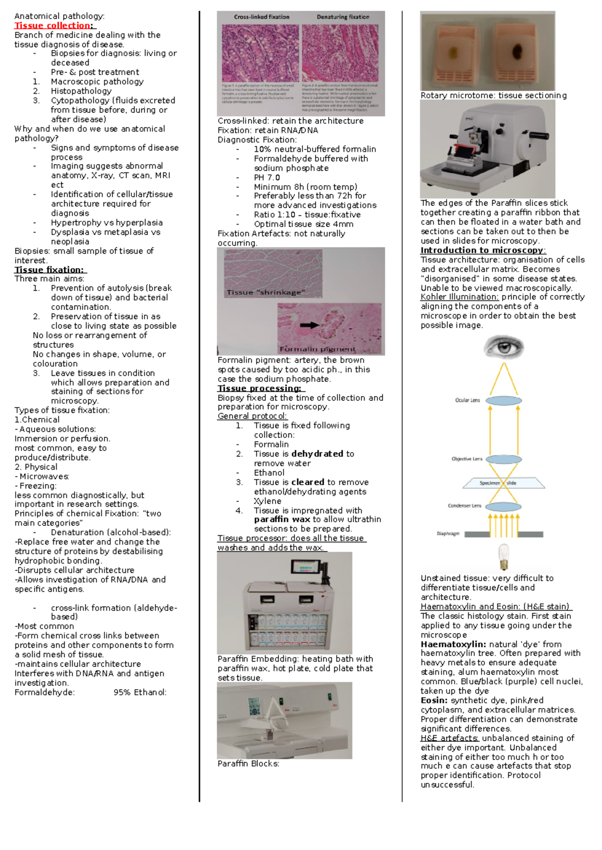 Anatomical pathology - Anatomical pathology: Tissue collection: Branch ...