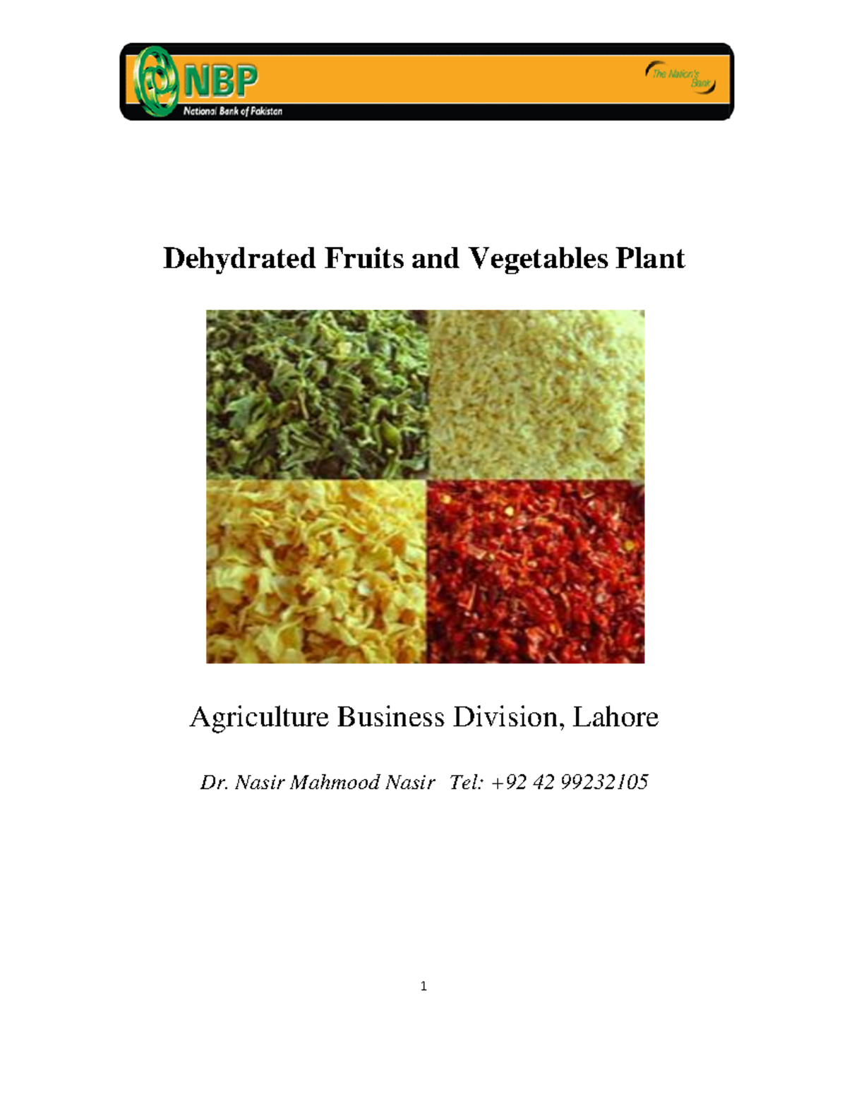 Dehydrated FVPlant Feasibility Dehydrated Fruits and Vegetables Plant