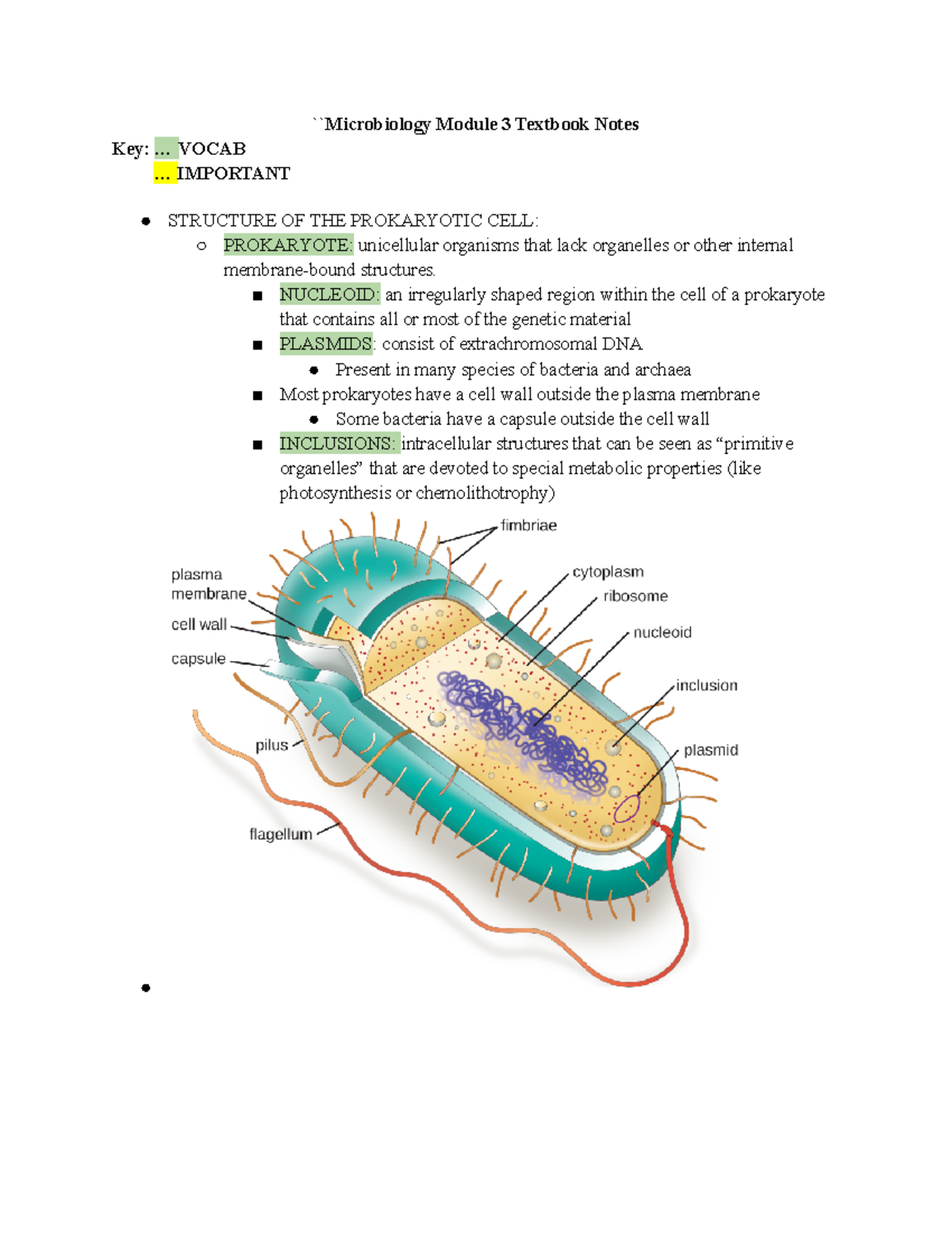 Microbiology Module 3 Textbook Notes - ``Microbiology Module 3 Textbook ...