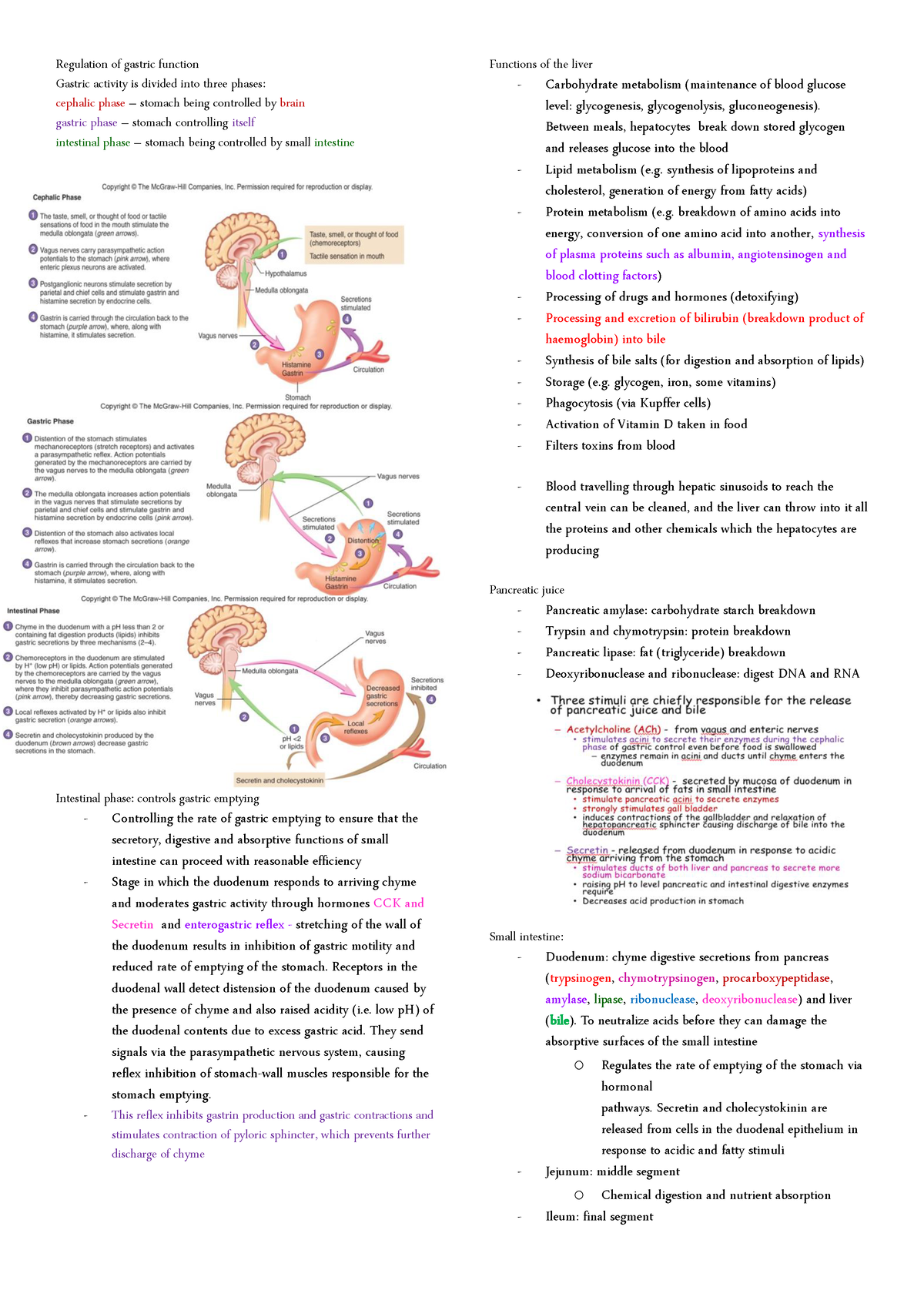 digestion-regulation-of-gastric-function-gastric-activity-is-divided