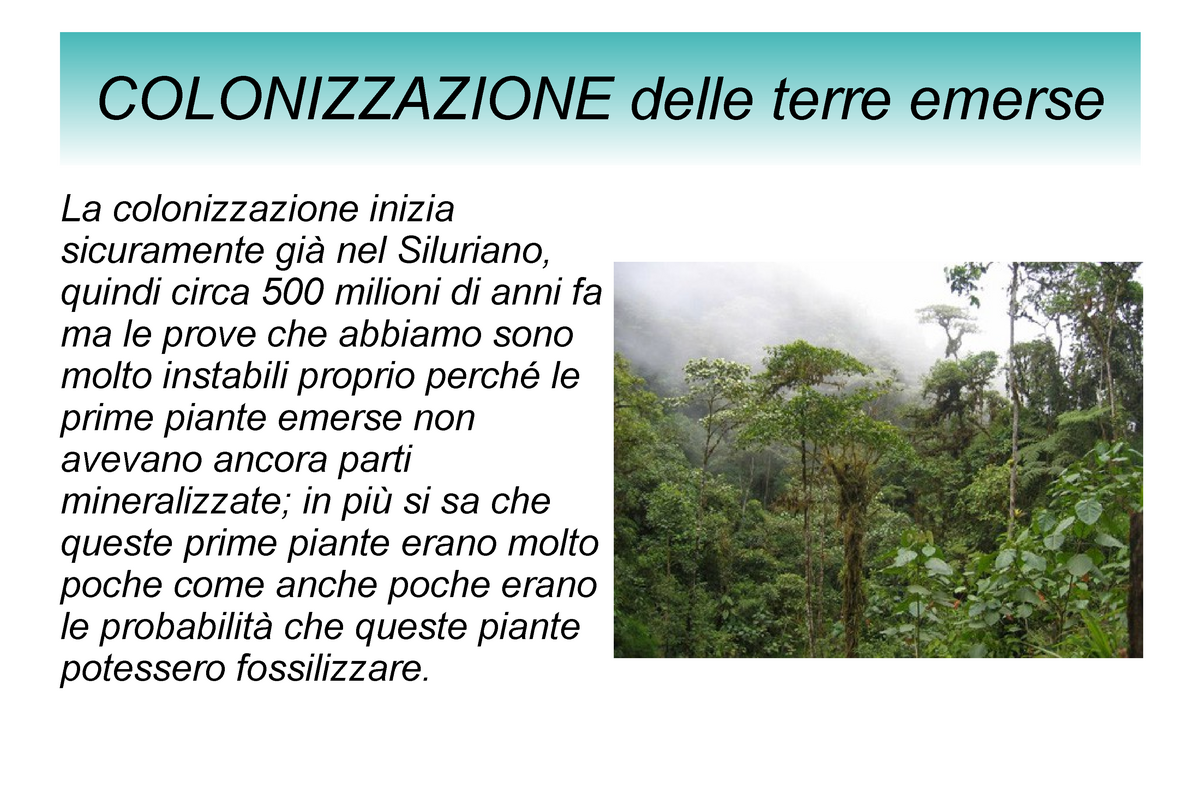 1- Colonizzazione Delle Terre Emerse - COLONIZZAZIONE Delle Terre ...