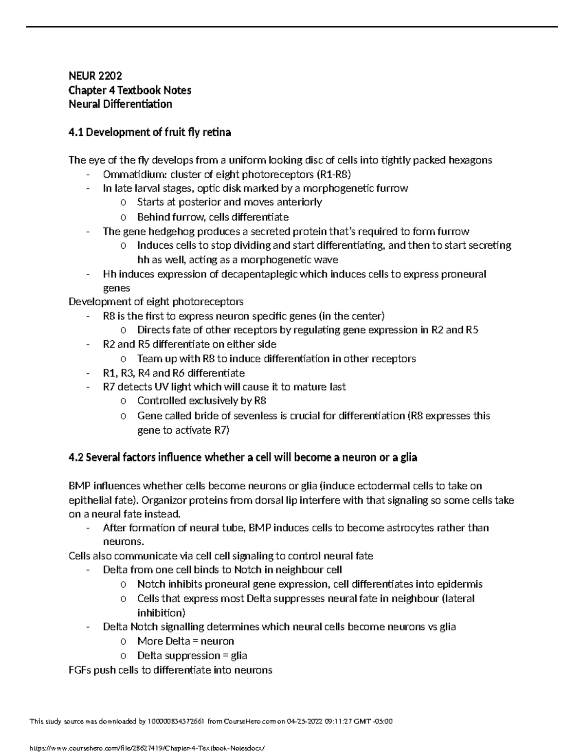 Chapter 4 Textbook Notes - NEUR 2202 Chapter 4 Textbook Notes Neural ...