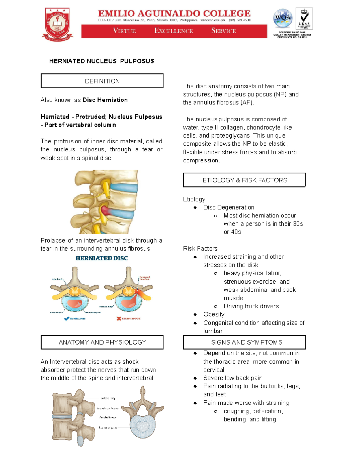 herniated nucleus pulpous report lecture - HERNIATED NUCLEUS PULPOSUS ...
