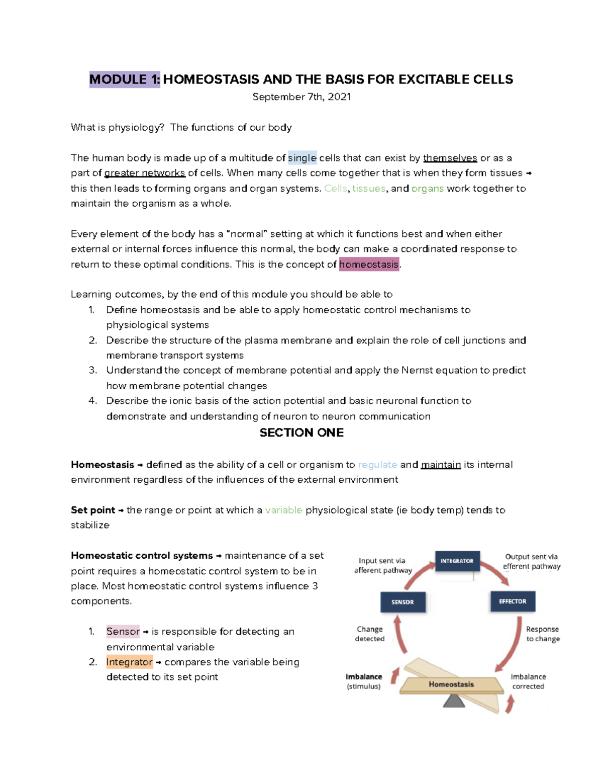 Module 1 - MODULE 1: HOMEOSTASIS AND THE BASIS FOR EXCITABLE CELLS ...