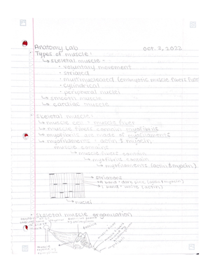 Chapter 20 Study Guide BIOL224 - Chapter 20 Endocrine System Study ...