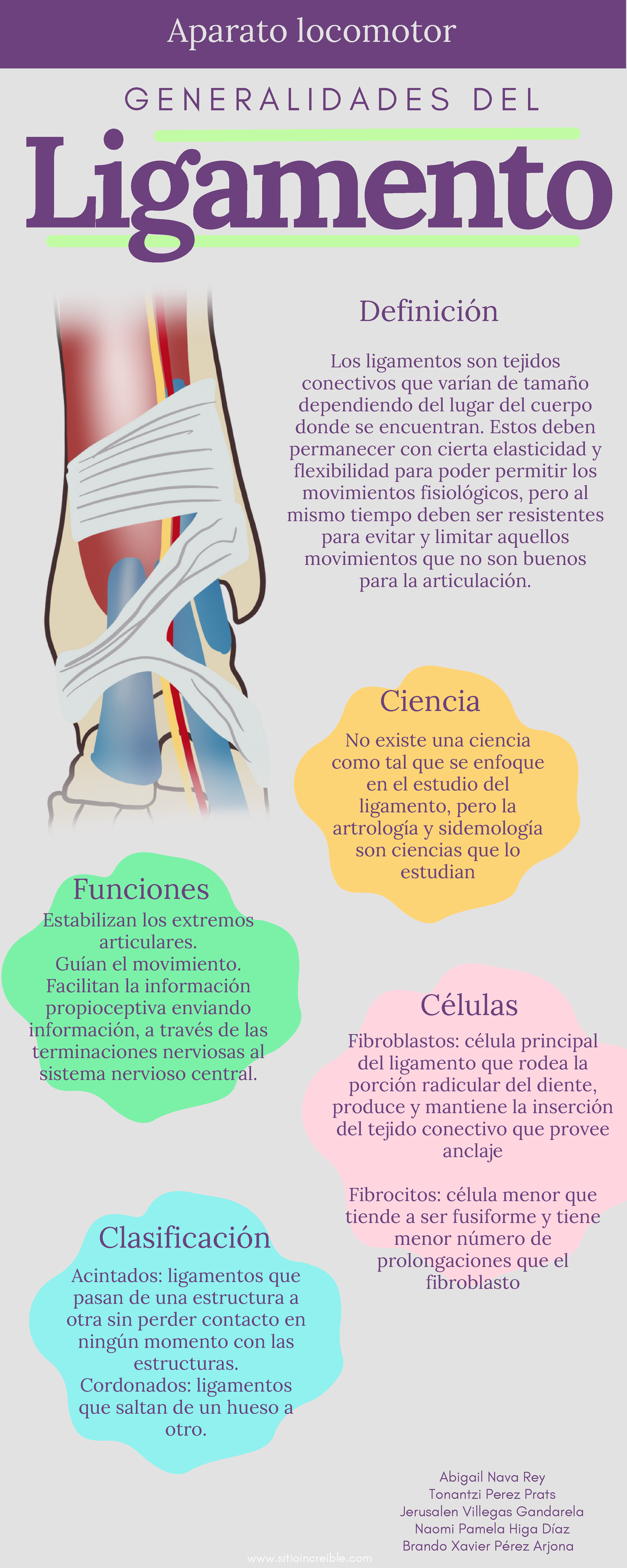 infograf-a-ligamento-practica-4-g-e-n-e-r-a-l-i-d-a-d-e-s-d-e-l