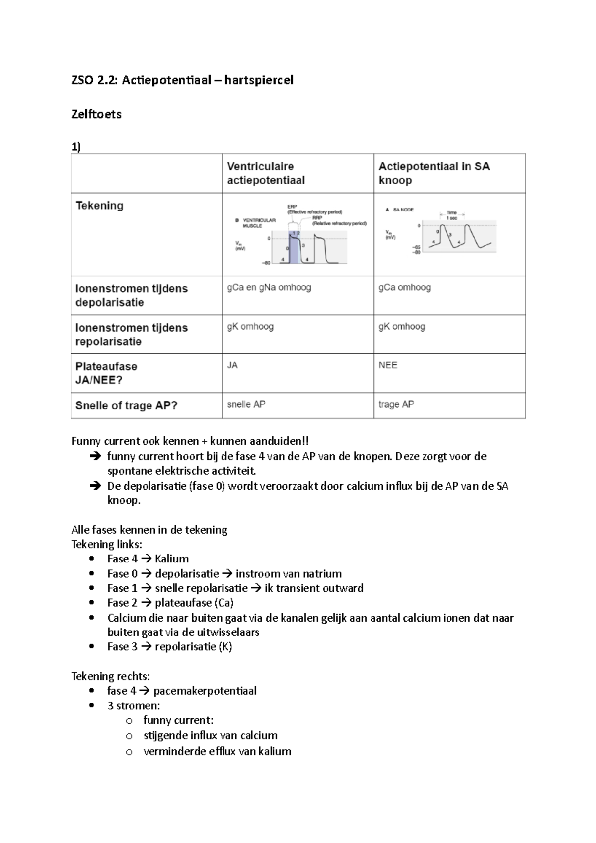 Werkzitting ZSO 2.2 - ZSO 2: Actiepotentiaal – hartspiercel Zelftoets 1 ...
