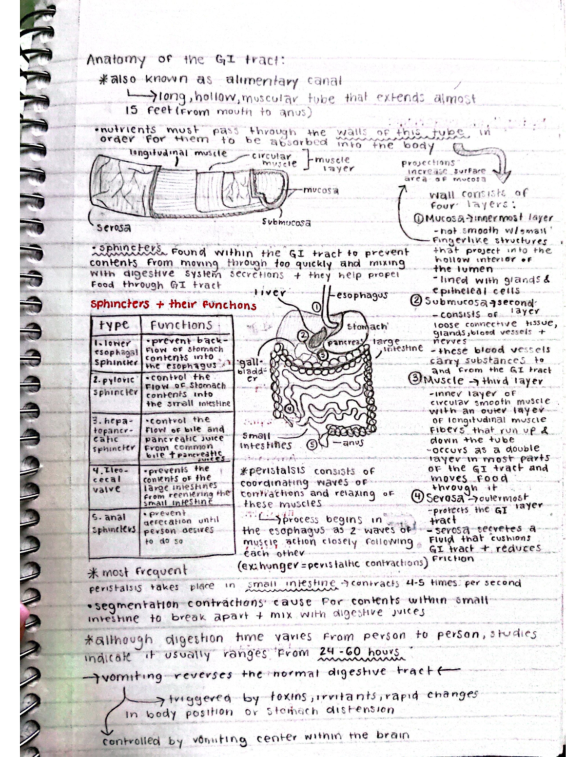 hnf lecture notes - HNF 150 - Studocu