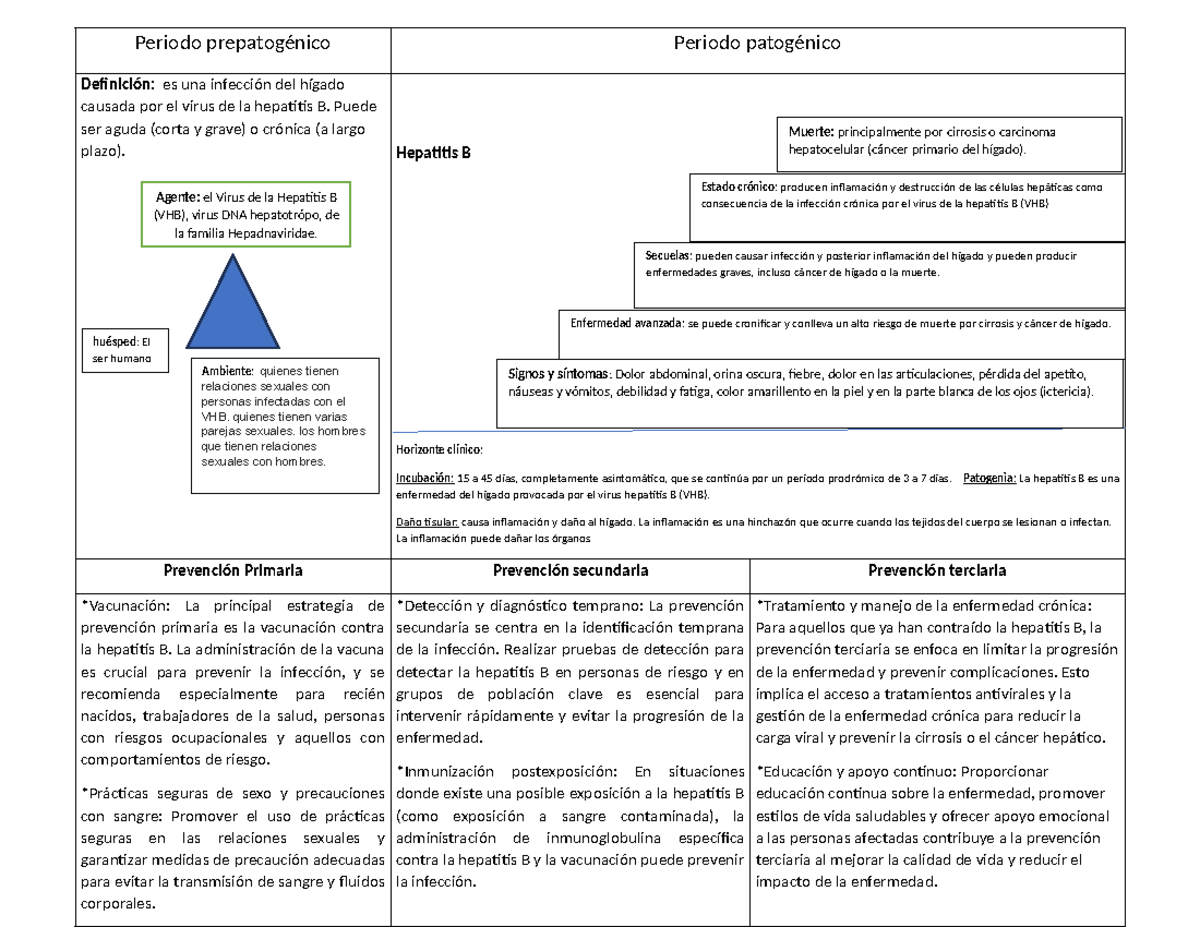 Hepatitis B Historia Natural De La Enfermedad www.studocu.com