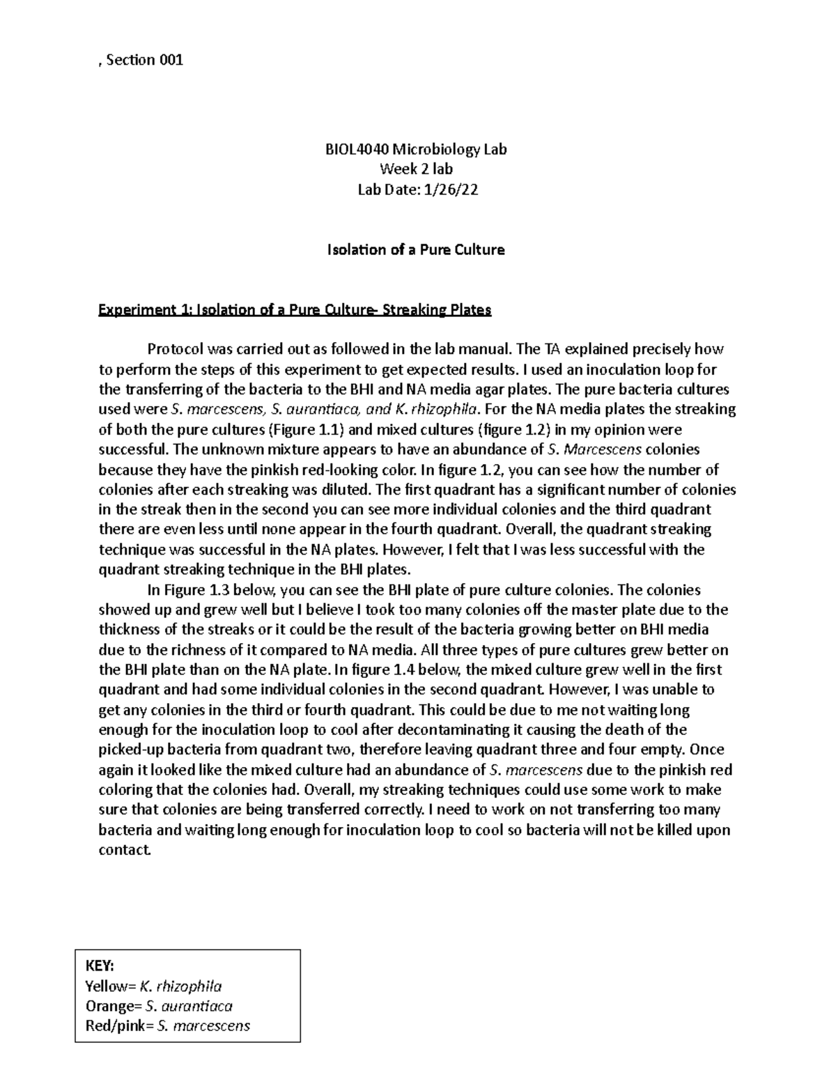 BIOL4040 Isolation of a pure culture , Section 001 BIOL4040