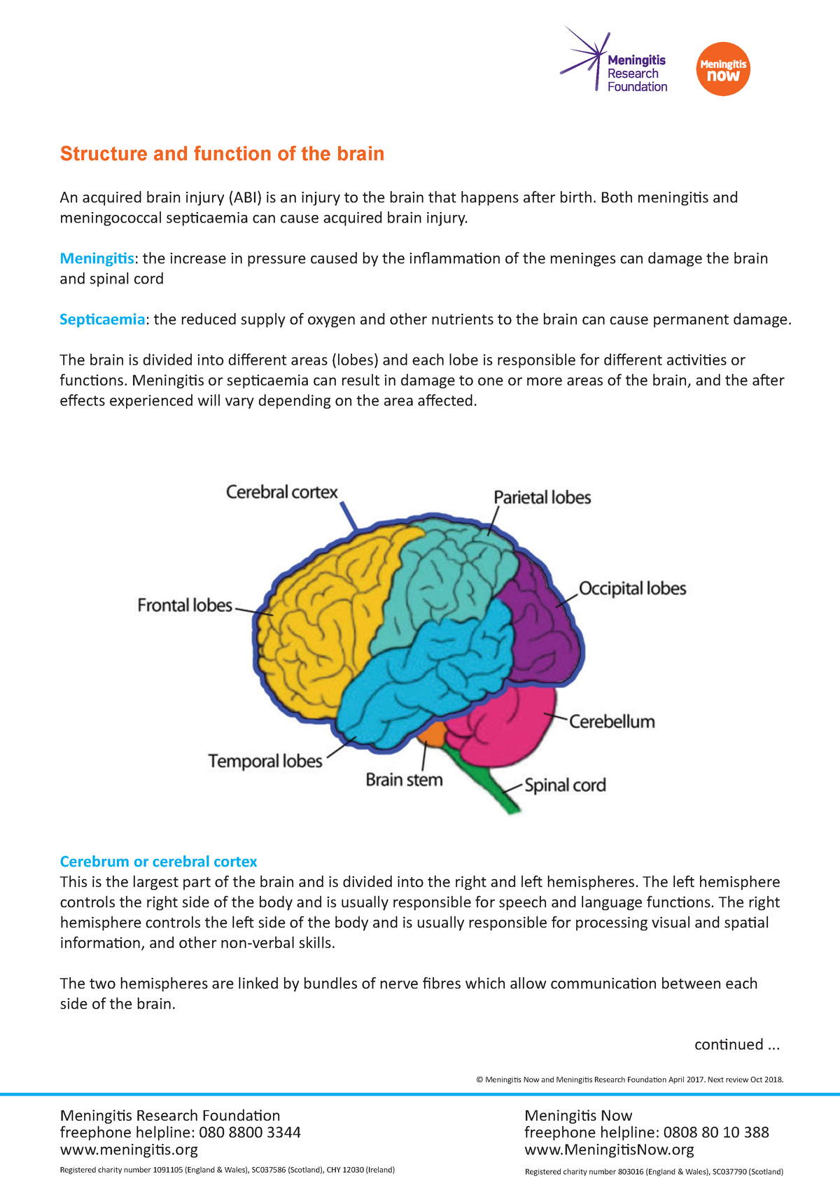 Structure and function of the brain August 2017 - Structure and ...