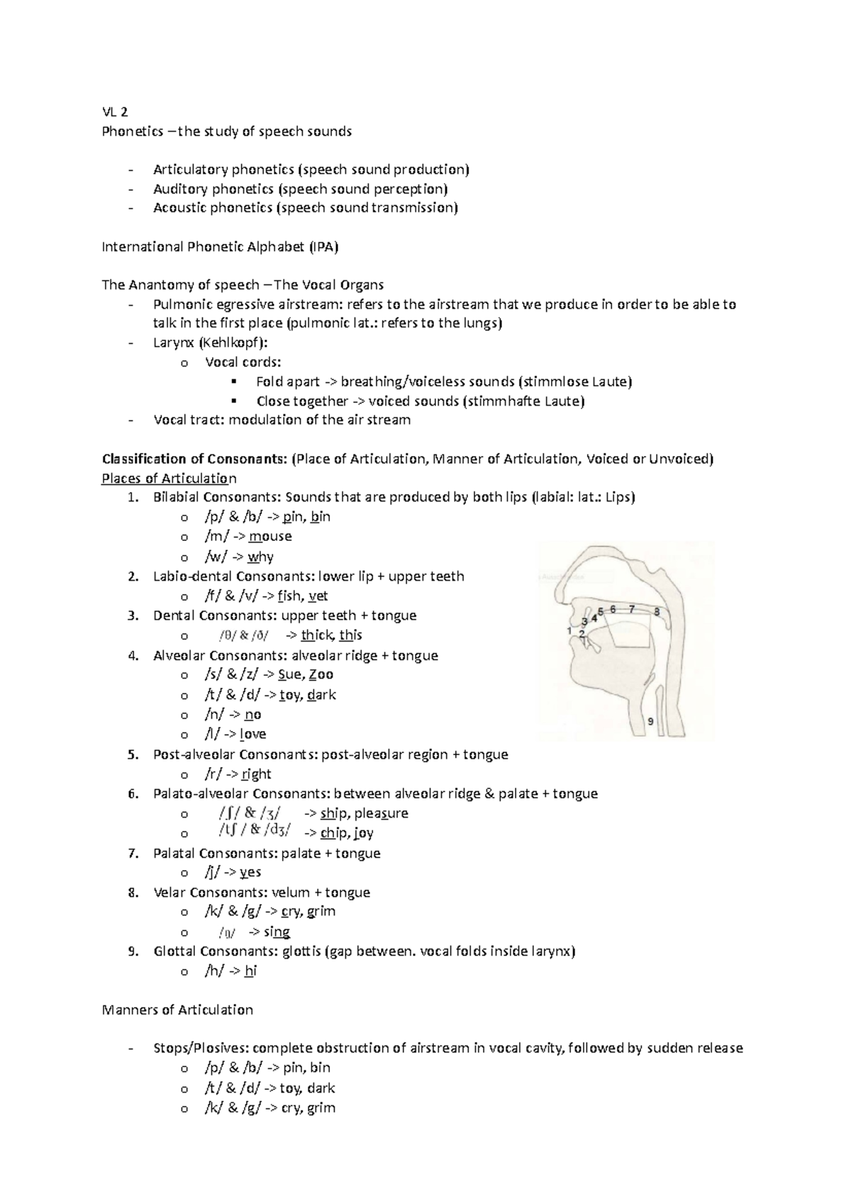 2. Phonetics - SoSe 23 - VL 2 Phonetics – the study of speech sounds ...