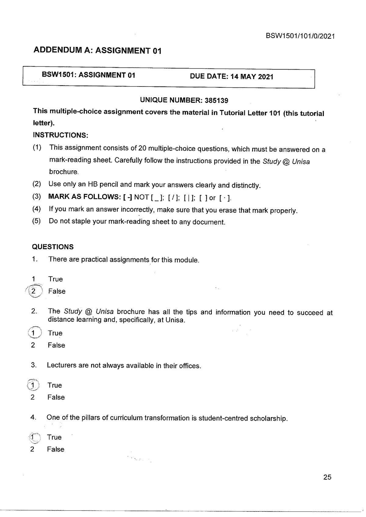 social work law assignment