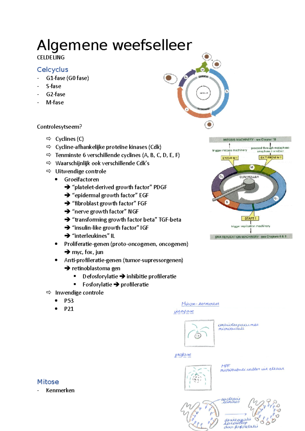 Celdeling - Deel Samenvatting - Algemene Weefselleer CELDELING ...